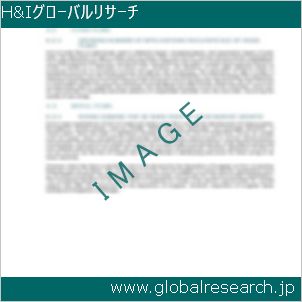 グローバルリサーチ調査レポートのイメージ